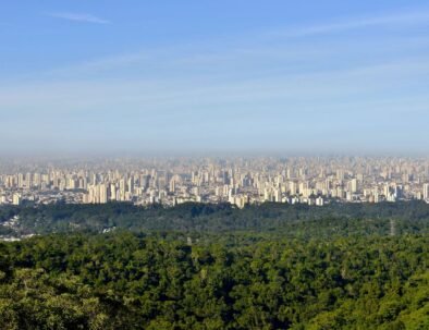 Eco Tour Sao Paulo