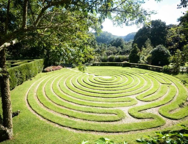 Tour to Campos do Jordao Amantkir